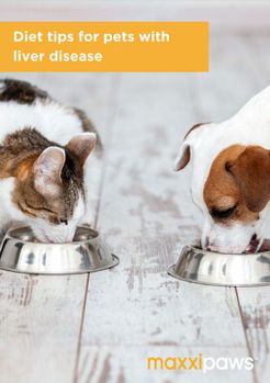 Dog and cat with liver disease eating food with maxxiSAMe given with food