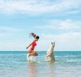 Dog enjoying beach vacation with his family 