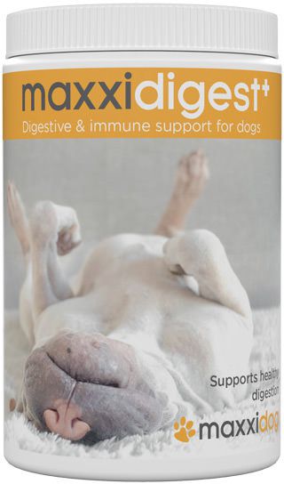 Benefits of maxxidigest+ digestive and immune support for dogs