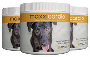 maxxicardio hearth and vascular support for dogs