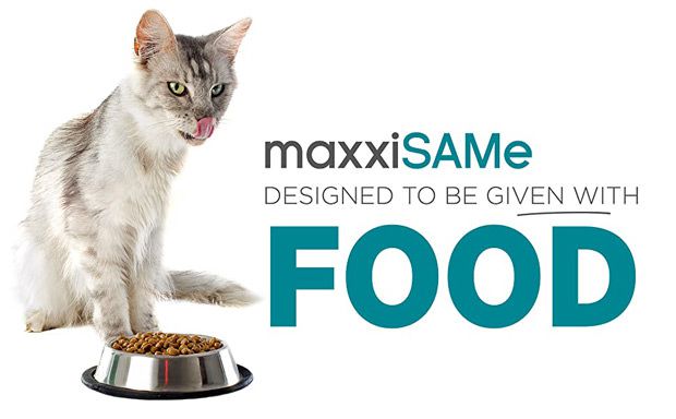 maxxiSAMe SAM-e for cats given with food