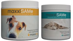 maxxiSAMe liver and cognitive support for dogs and cats