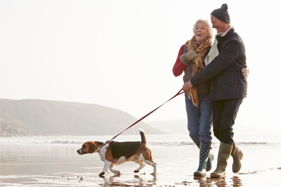 Happy dog owners and healthy dog using maxxiflex+ joint supplement for dogs on a wallk on the beach