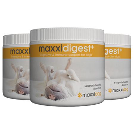 maxxidigest+ digestive and immune support for dogs from maxxipaws