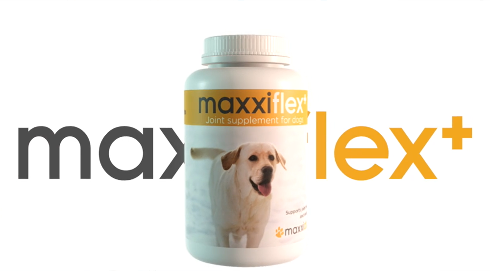 Bottle of maxxiflex+ hip and joint support for dogs