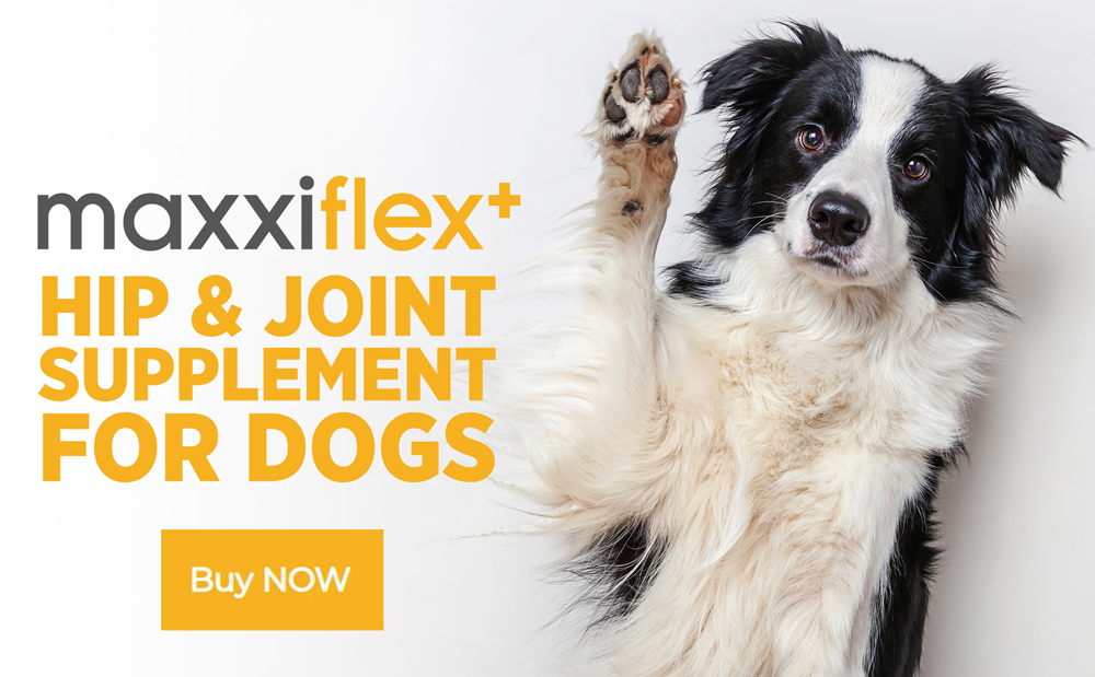 Buy maxxiflex+ hip and joint supplement for dogs today