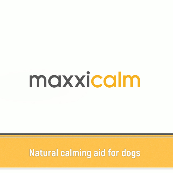 calming aid for dogs