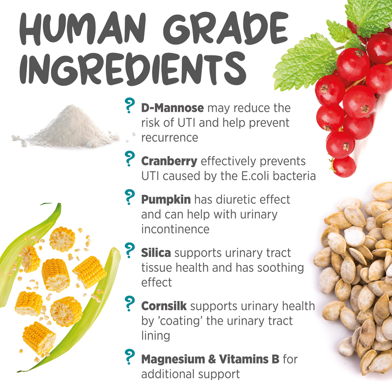 Urinary and bladder supplement for cats