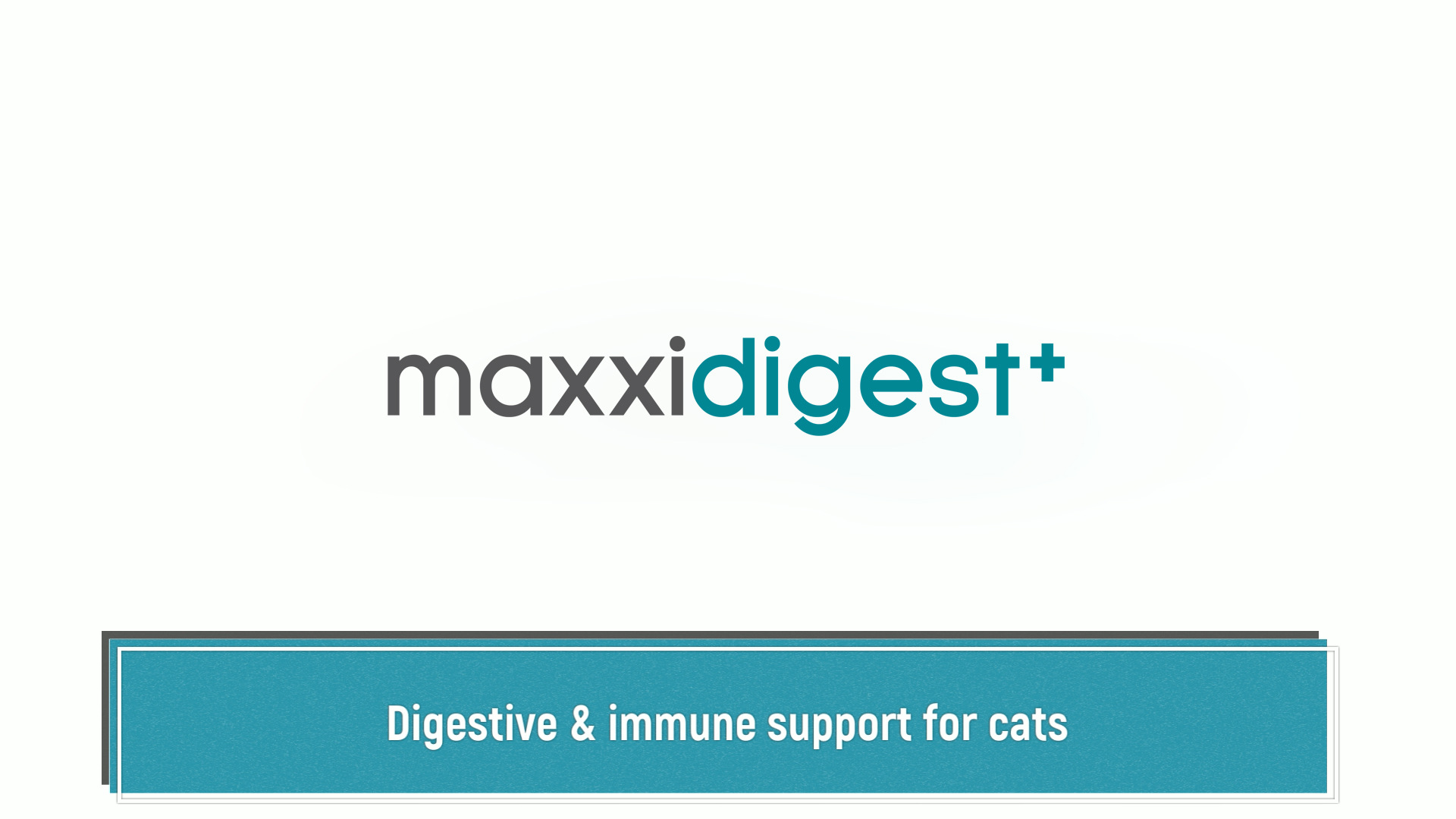 maxxidigest for cats