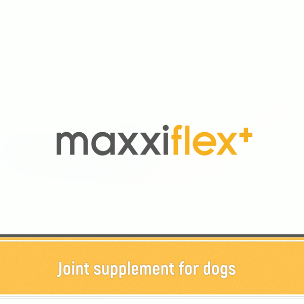 Canine glucosamine, chondroitin, MSM, hyaluronic acid, devil's claw, turmeric dog joint supplement