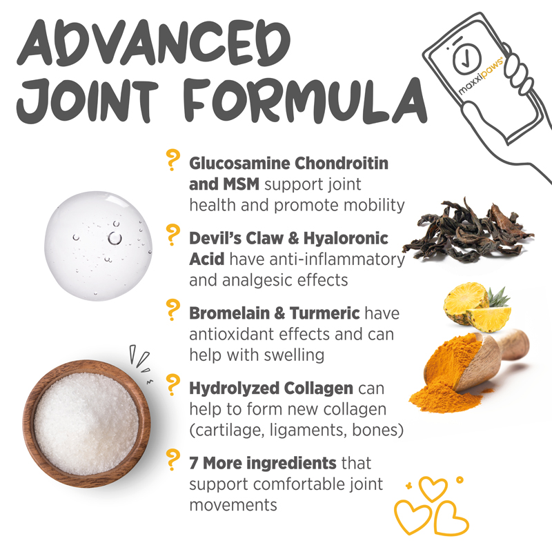 maxxiflex best ingredients for dogs hip and joint health
