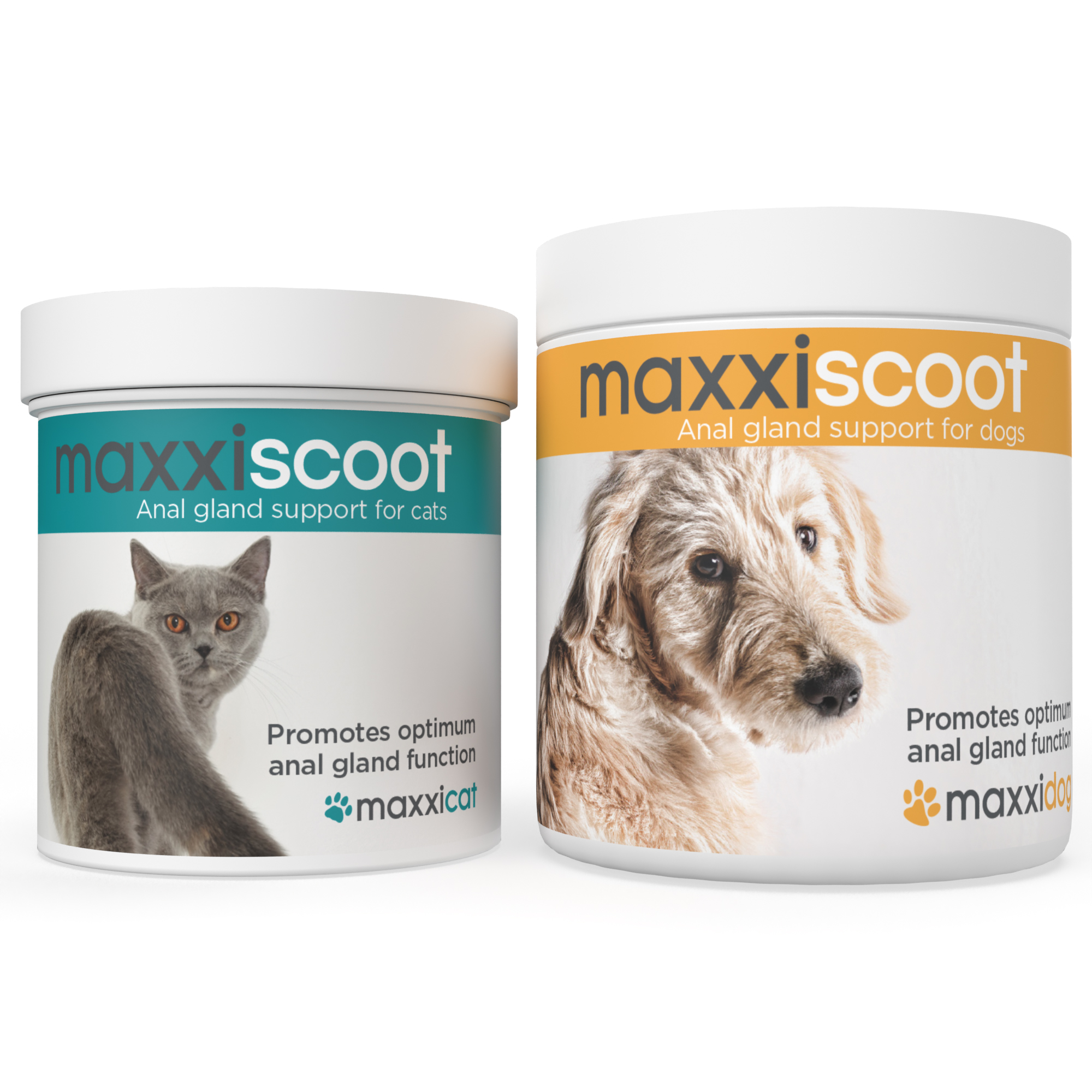maxxiscoot anal gland supplement for pets