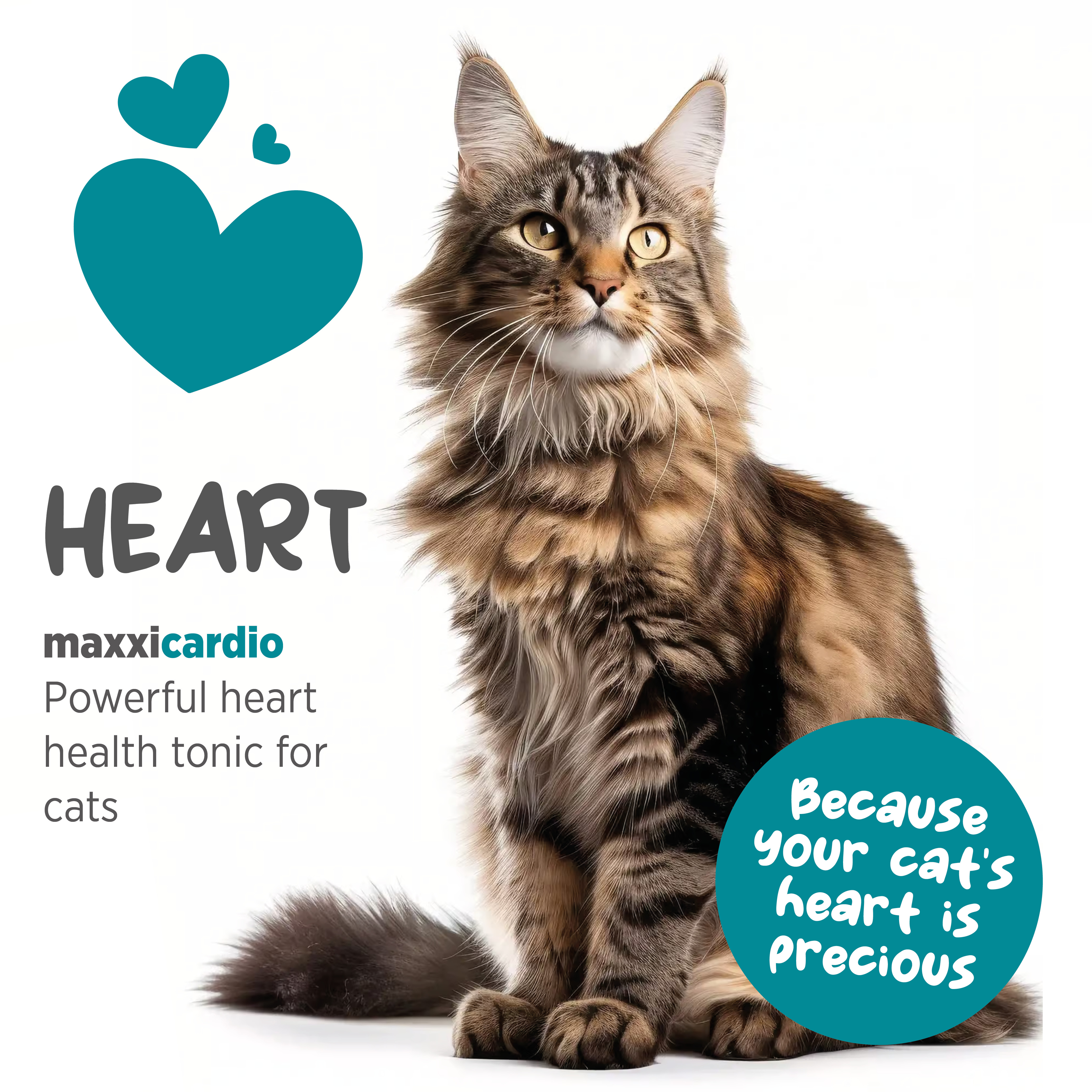 maxxicardio cat health supplement