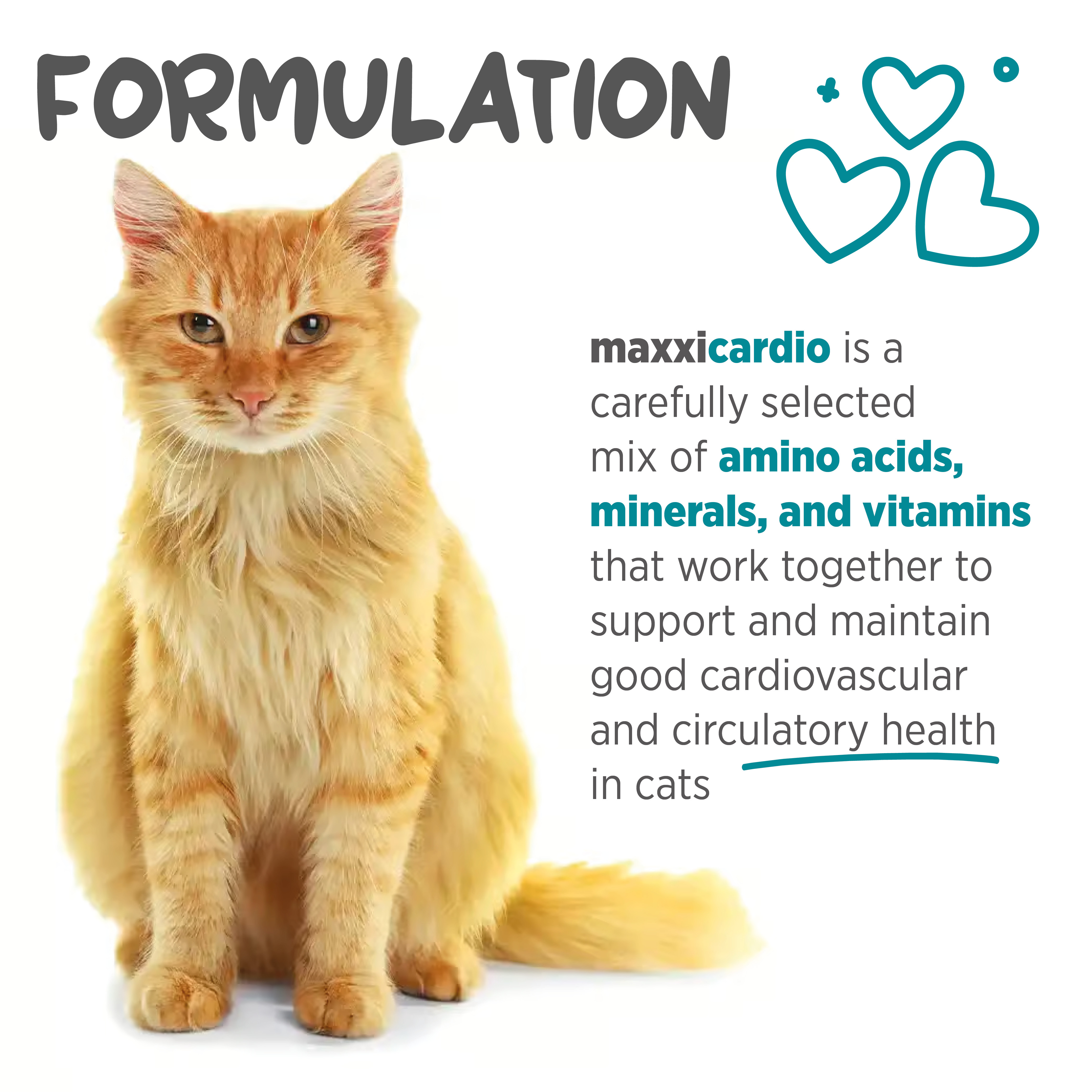 maxxicardio for cats