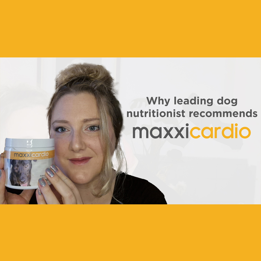 Leading dog nutritionist recommends maxxicardio for dogs