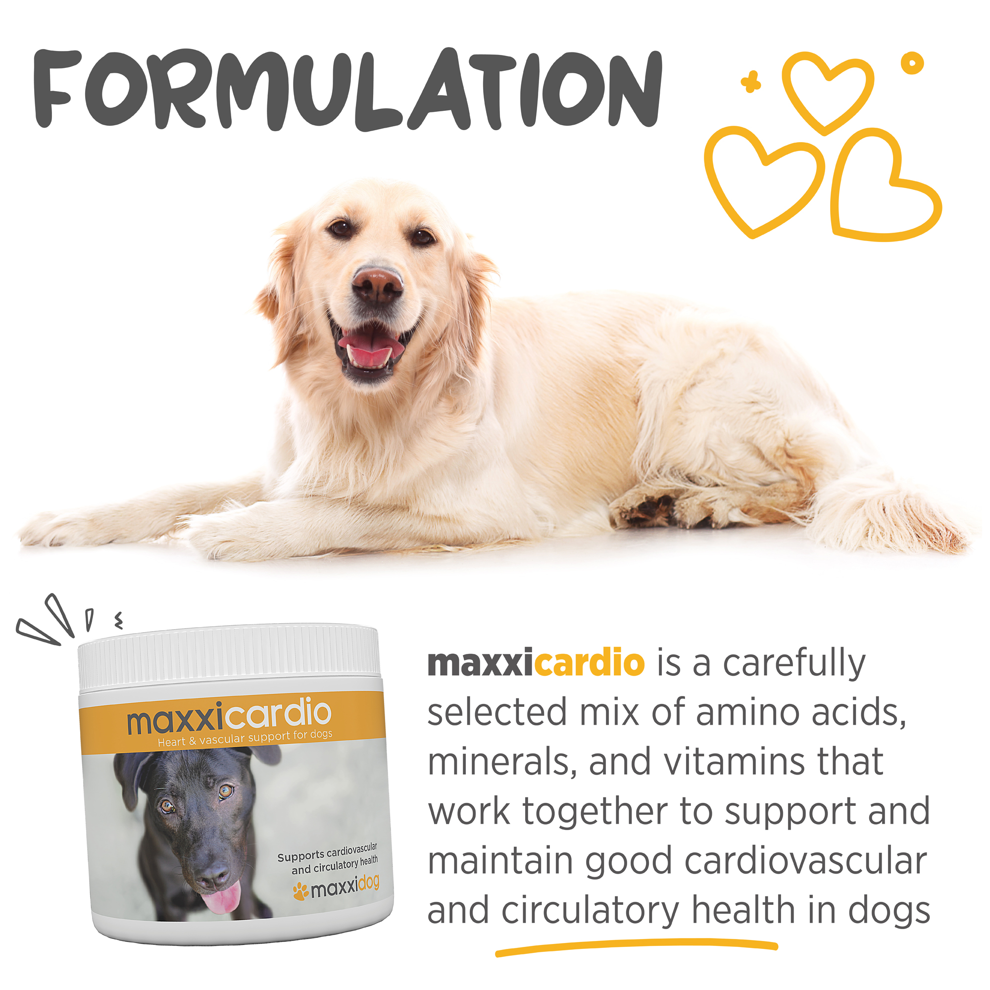 maxxicardio advanced heart formula for dogs
