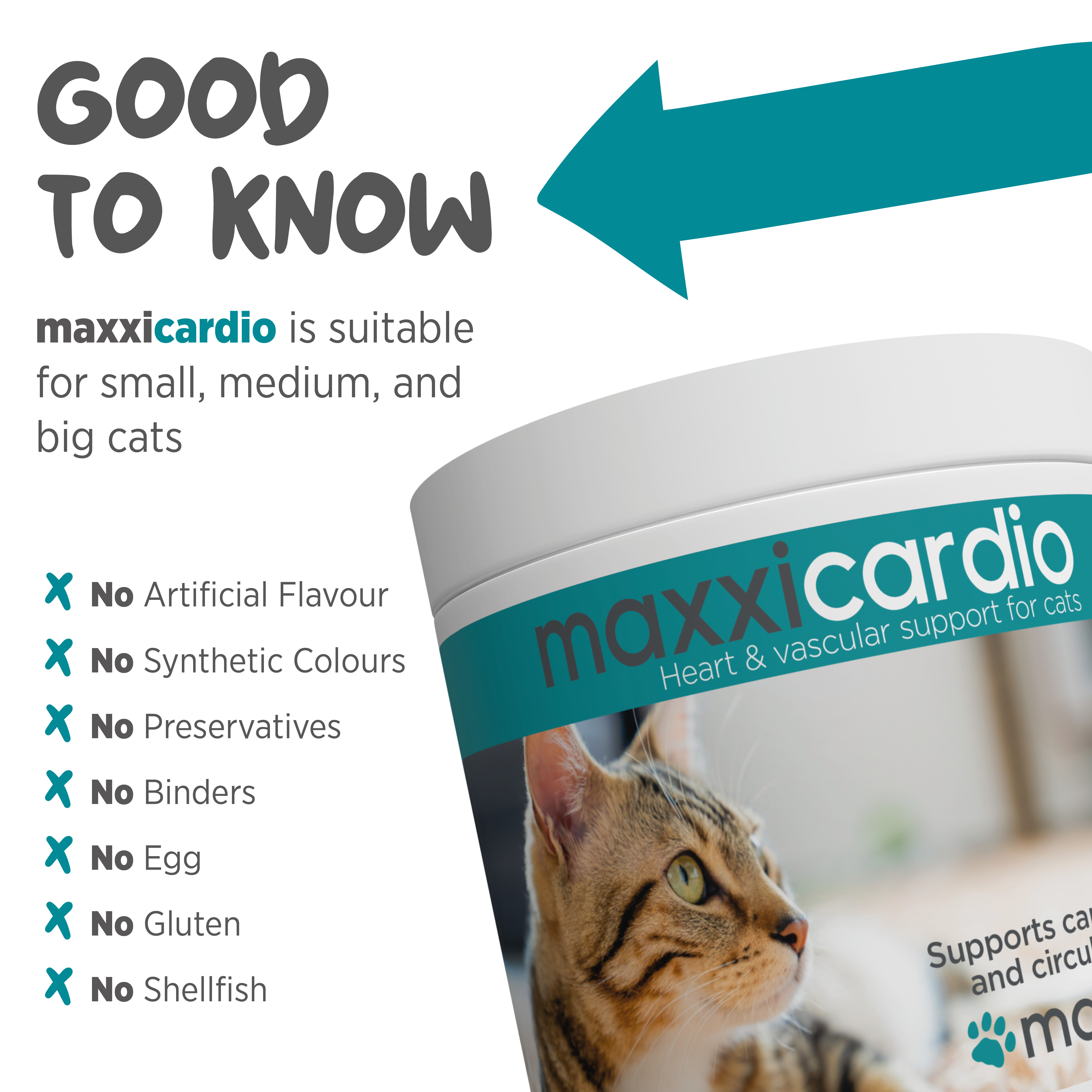 maxxicardio best feline heart supplement made in the USA