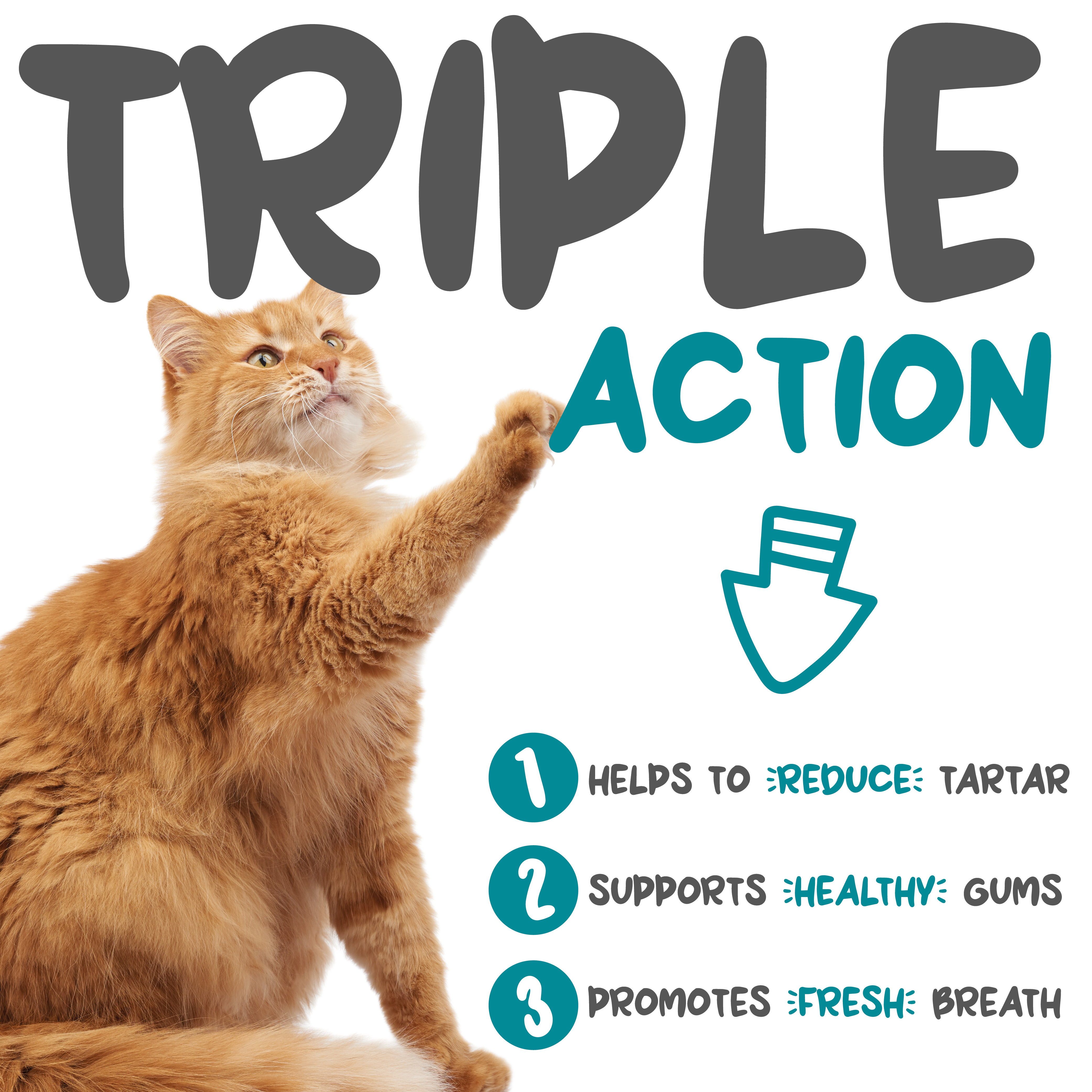 maxxidental triple action dental health for cats