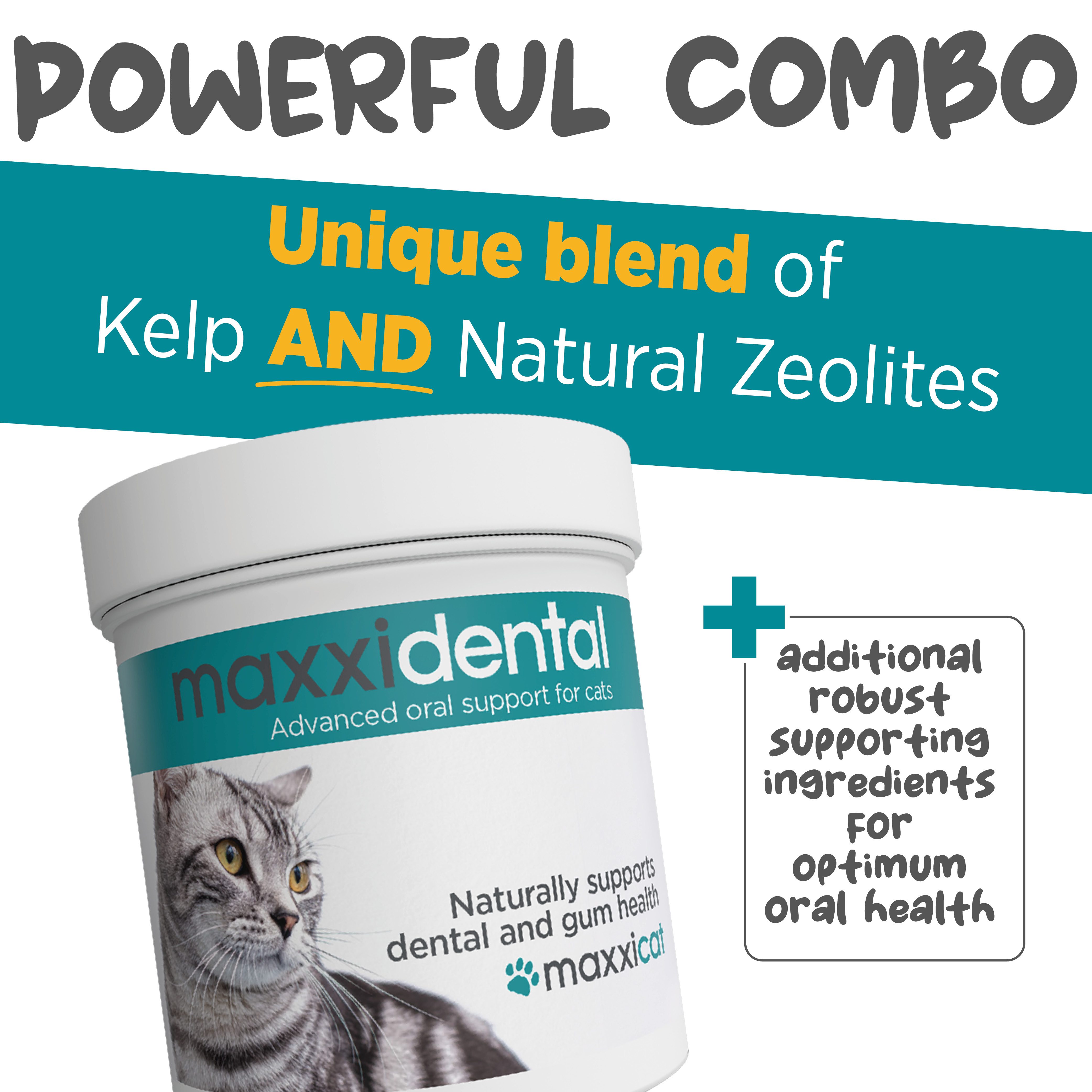 maxxidental powerful dental ingredients for cats