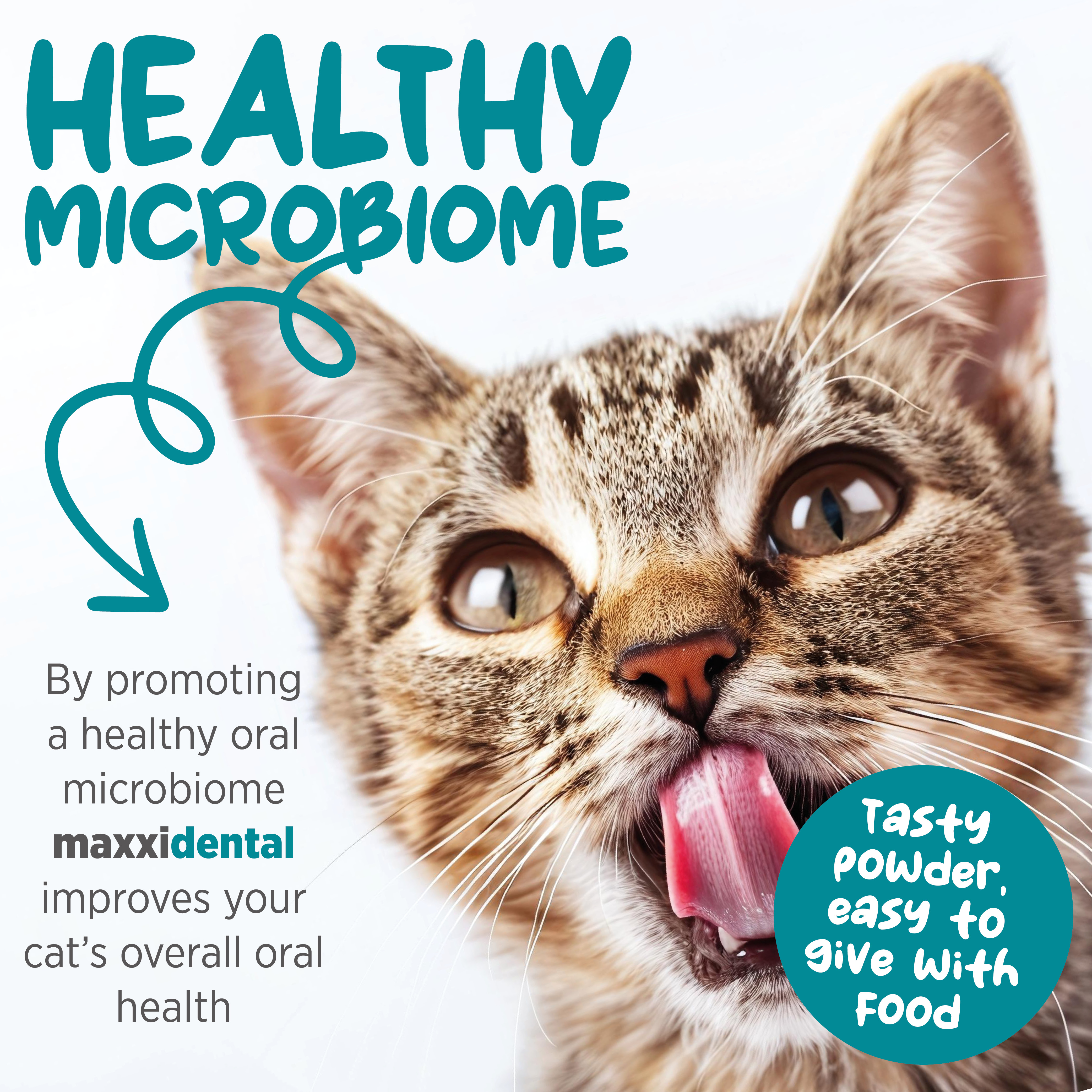 maxxidental support feline gum and mouth health