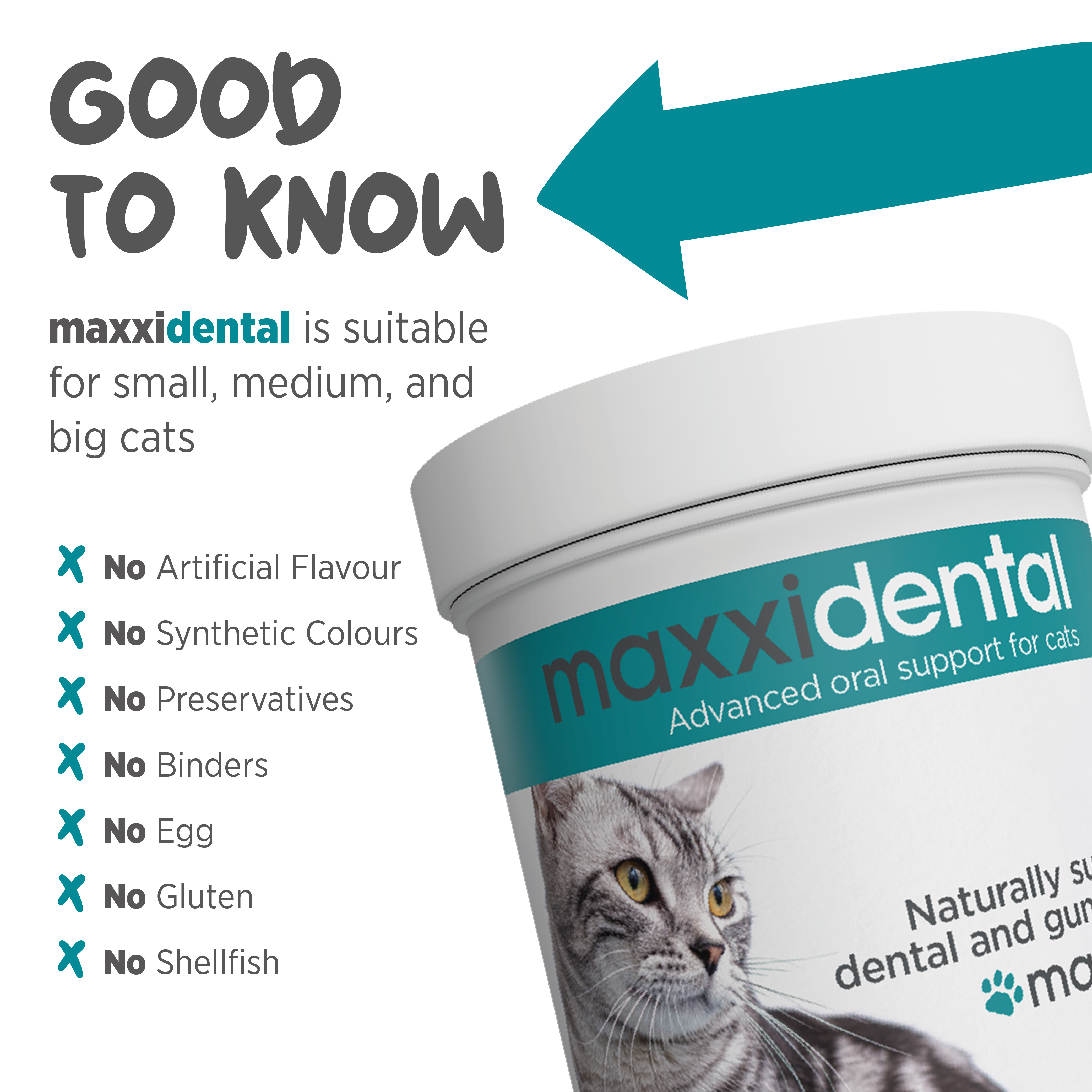 maxxidental best oral support for cats