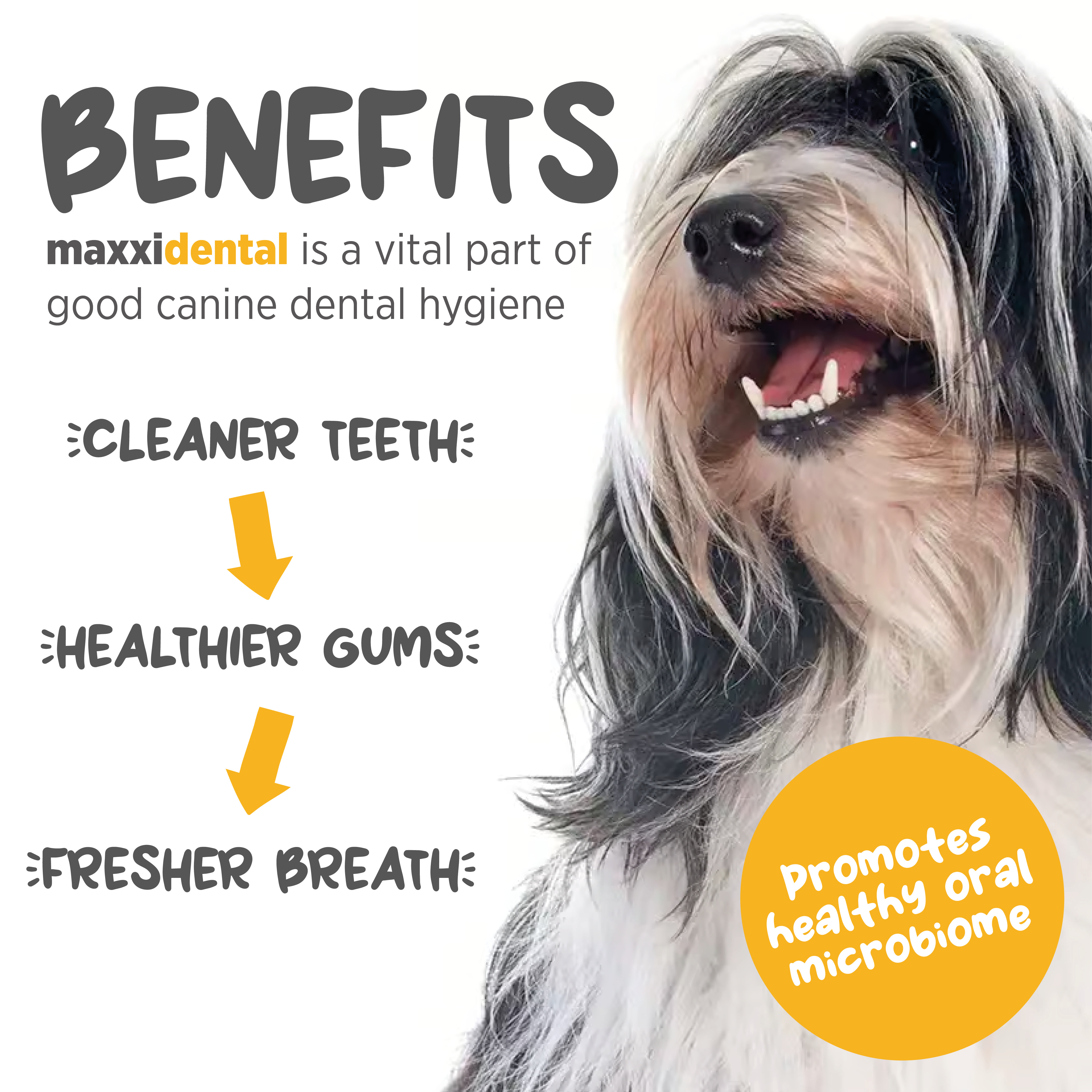 benefits of maxxidental for dogs oral health