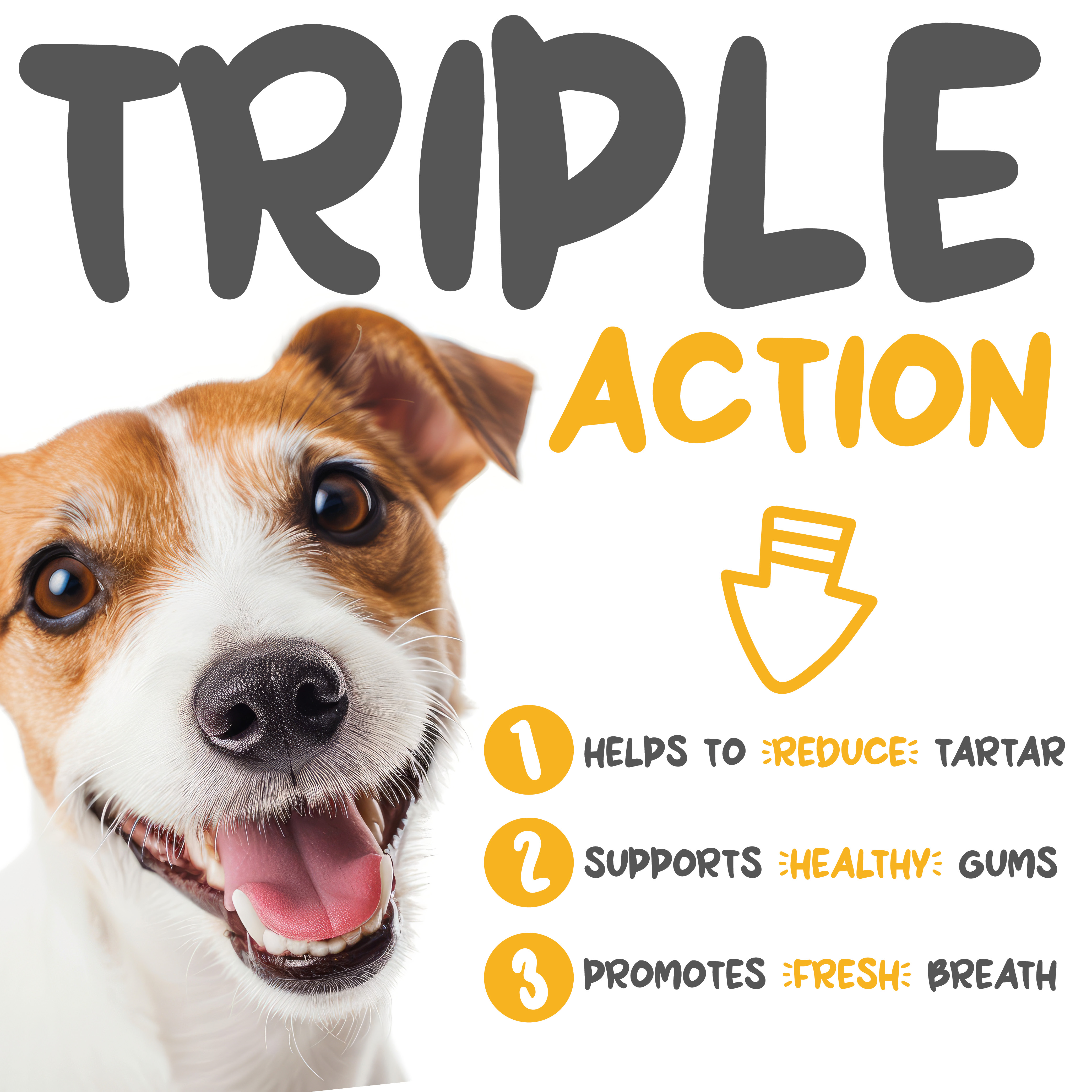 maxxidental triple action dental health for dogs