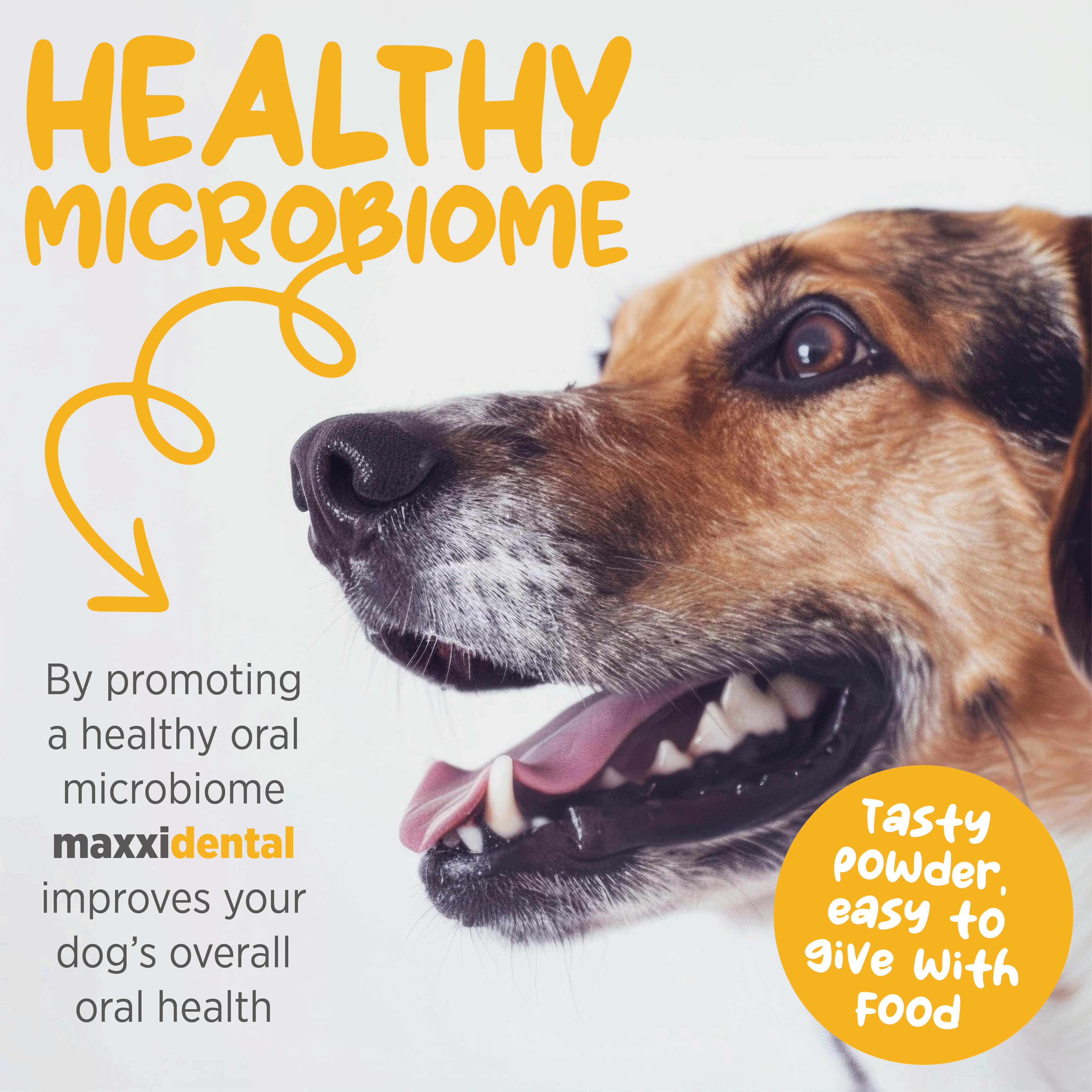 maxxidental support canine gum and mouth health
