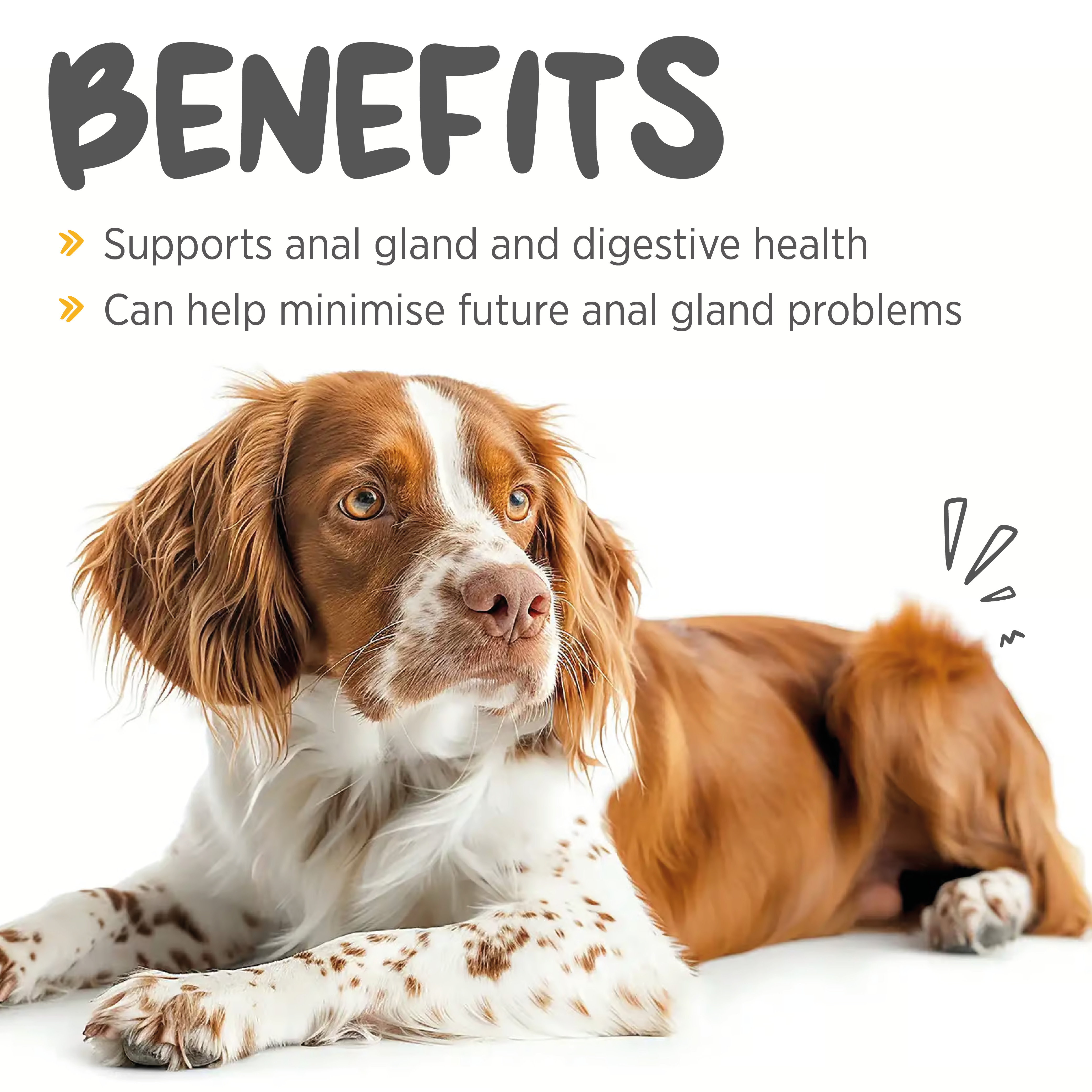 benefits of maxxiscoot for dogs
