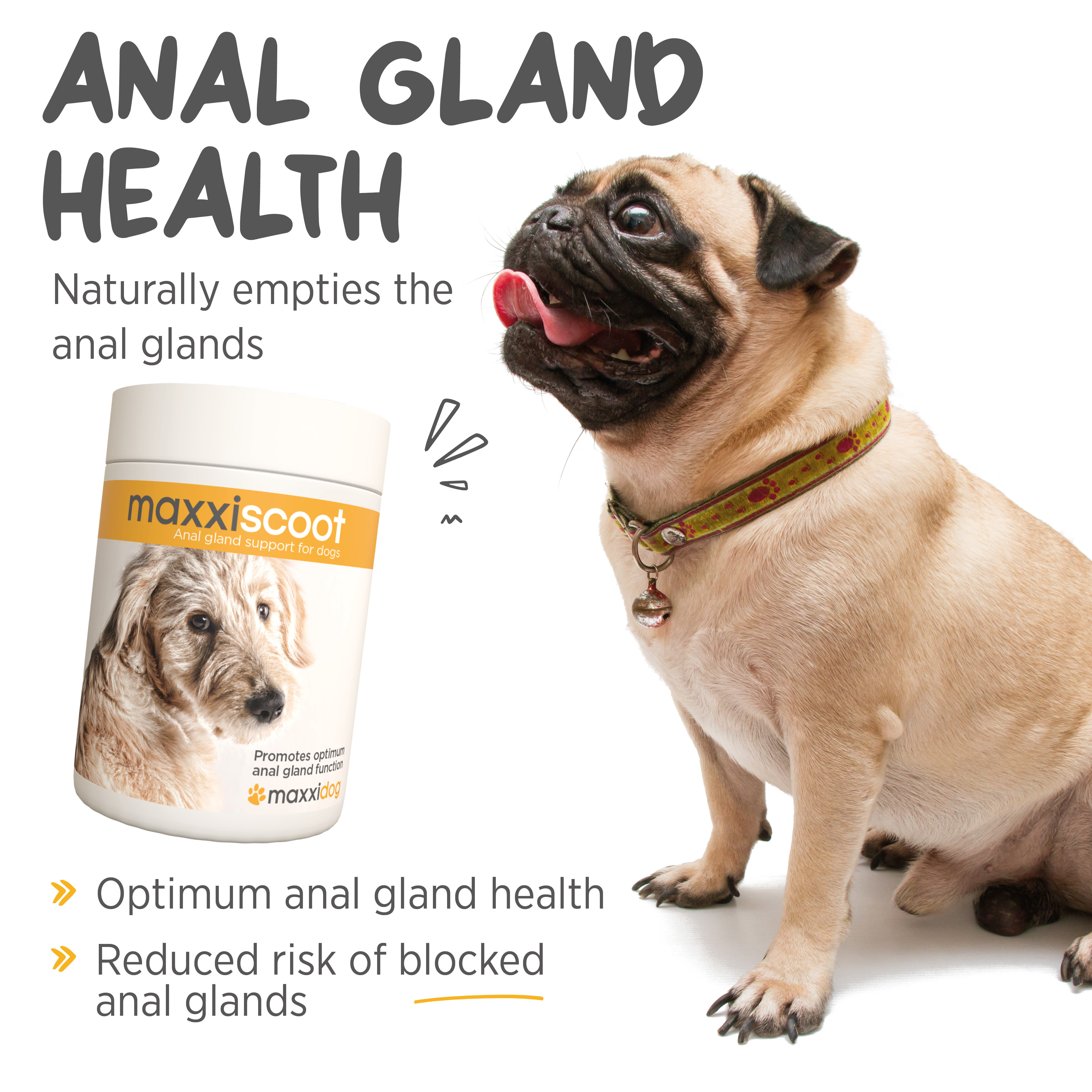 maxxiscoot supports anal gland health in dogs