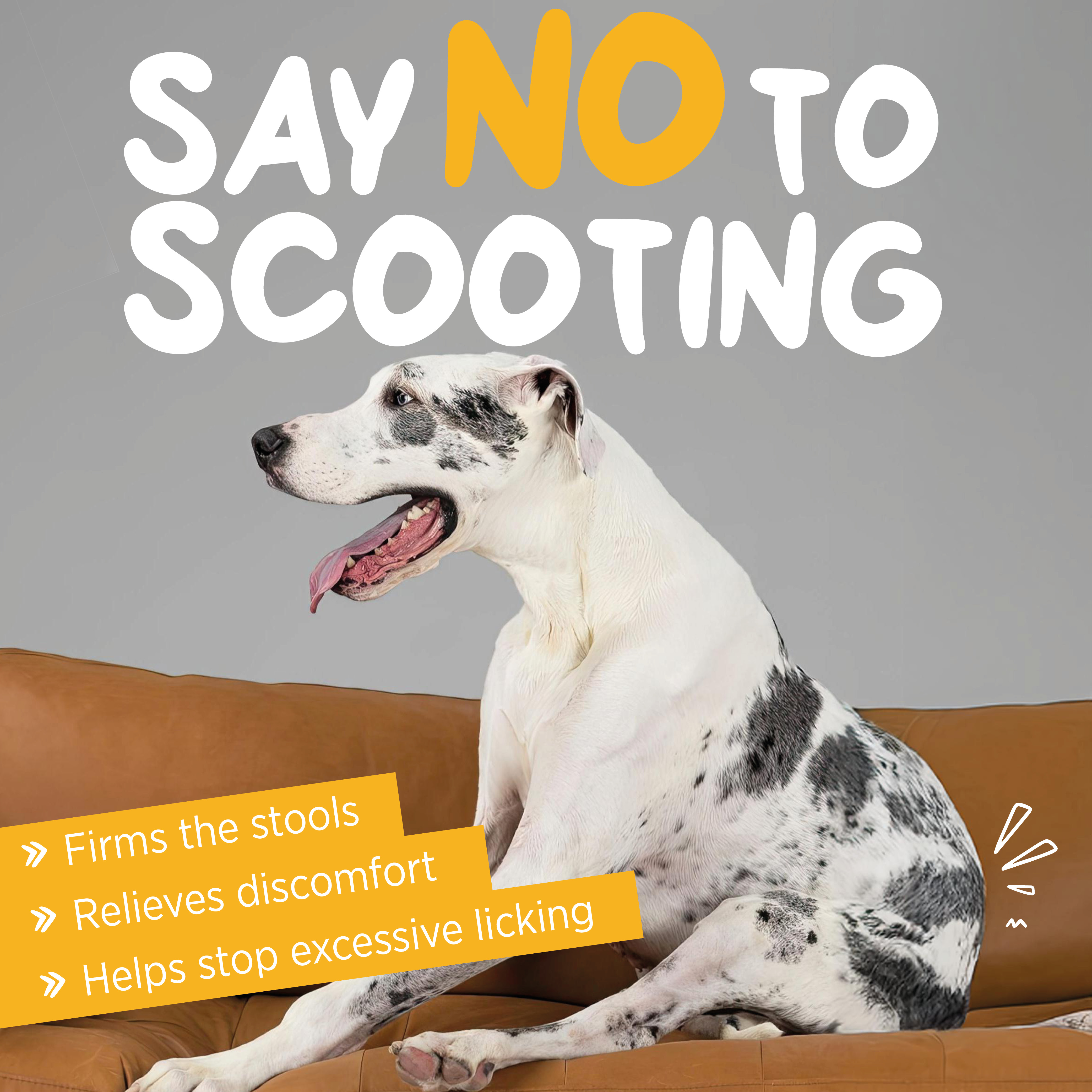 maxxiscoot anal gland scooting supplement for dogs