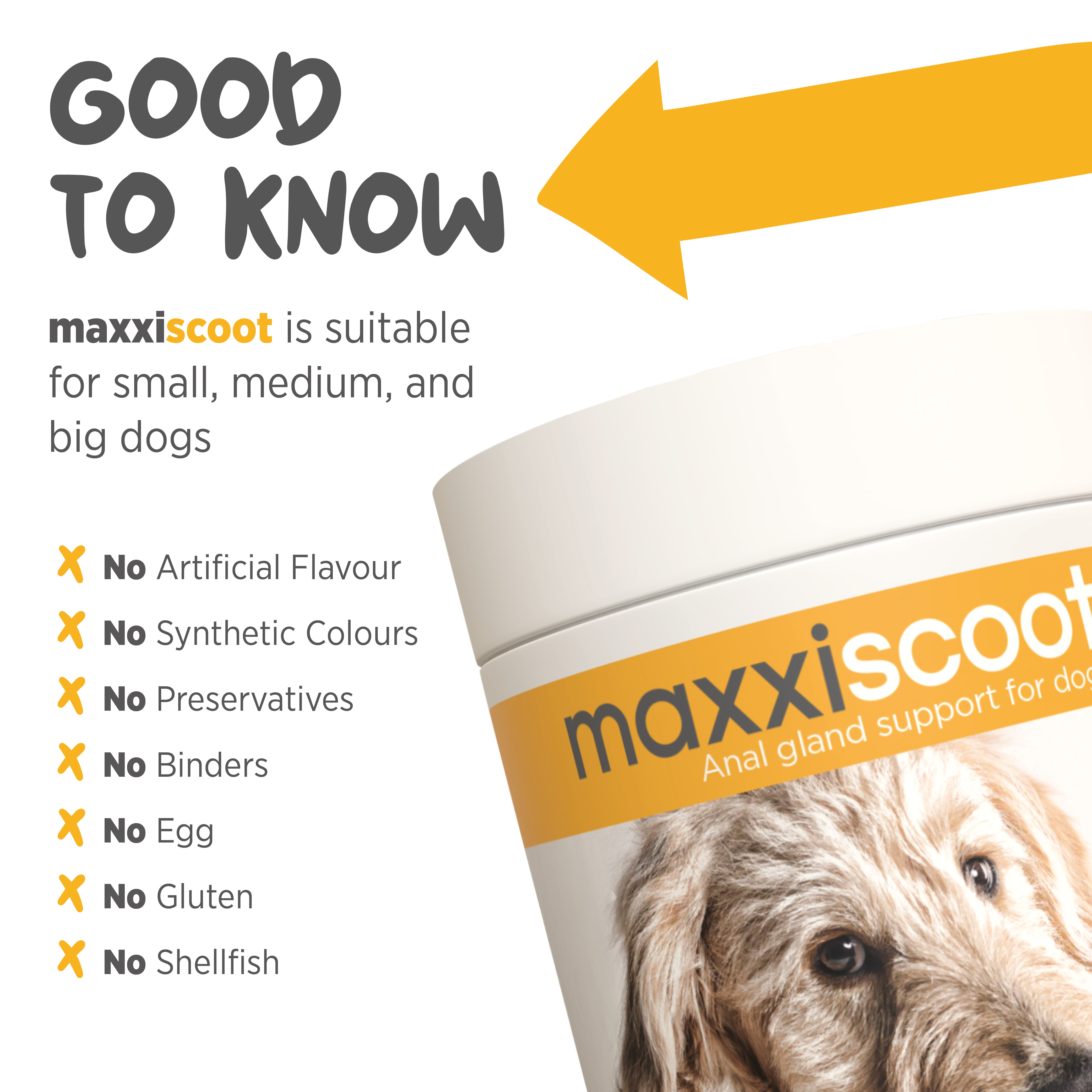 maxxiscoot best anal gland supplement for dogs