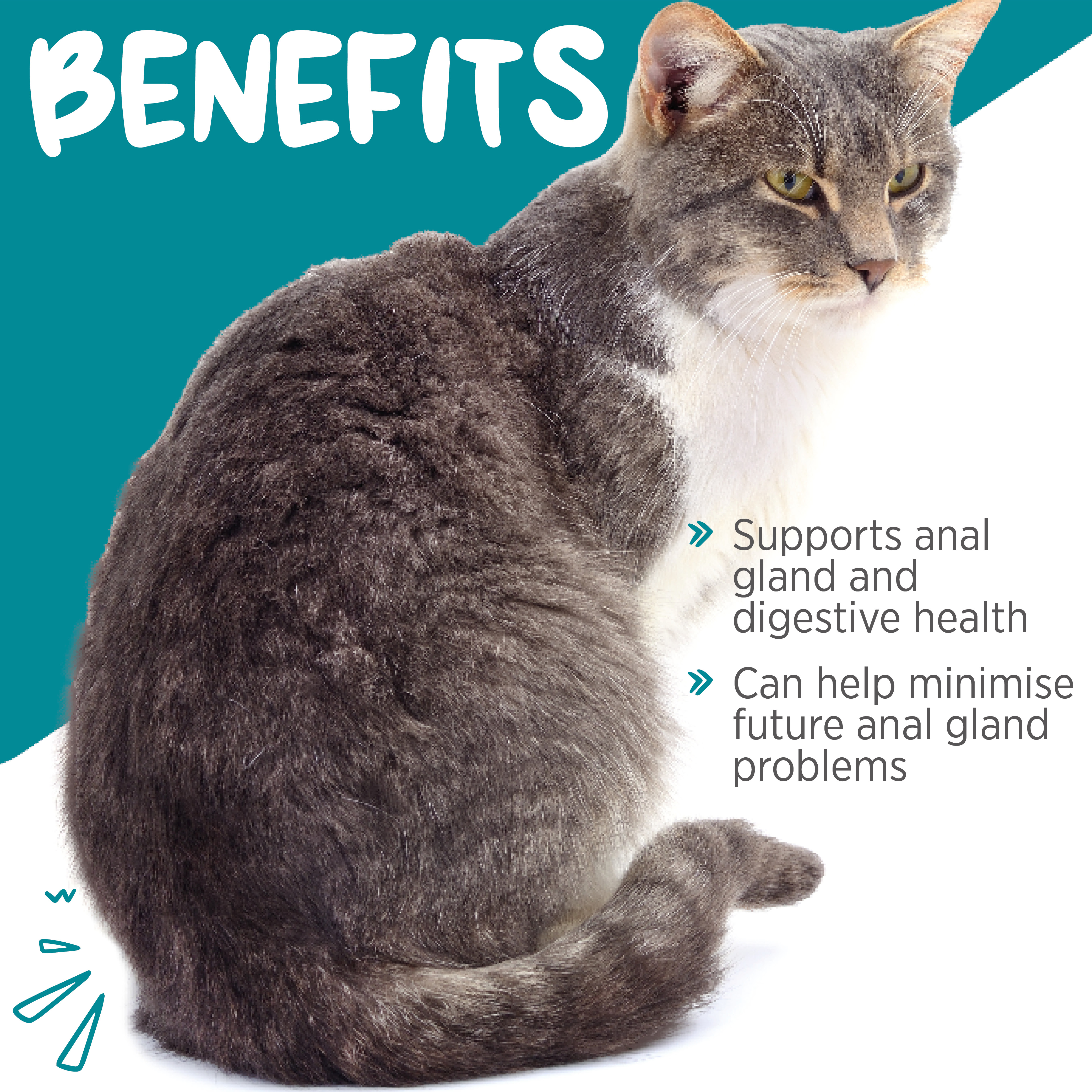 benefits of maxxiscoot for cats
