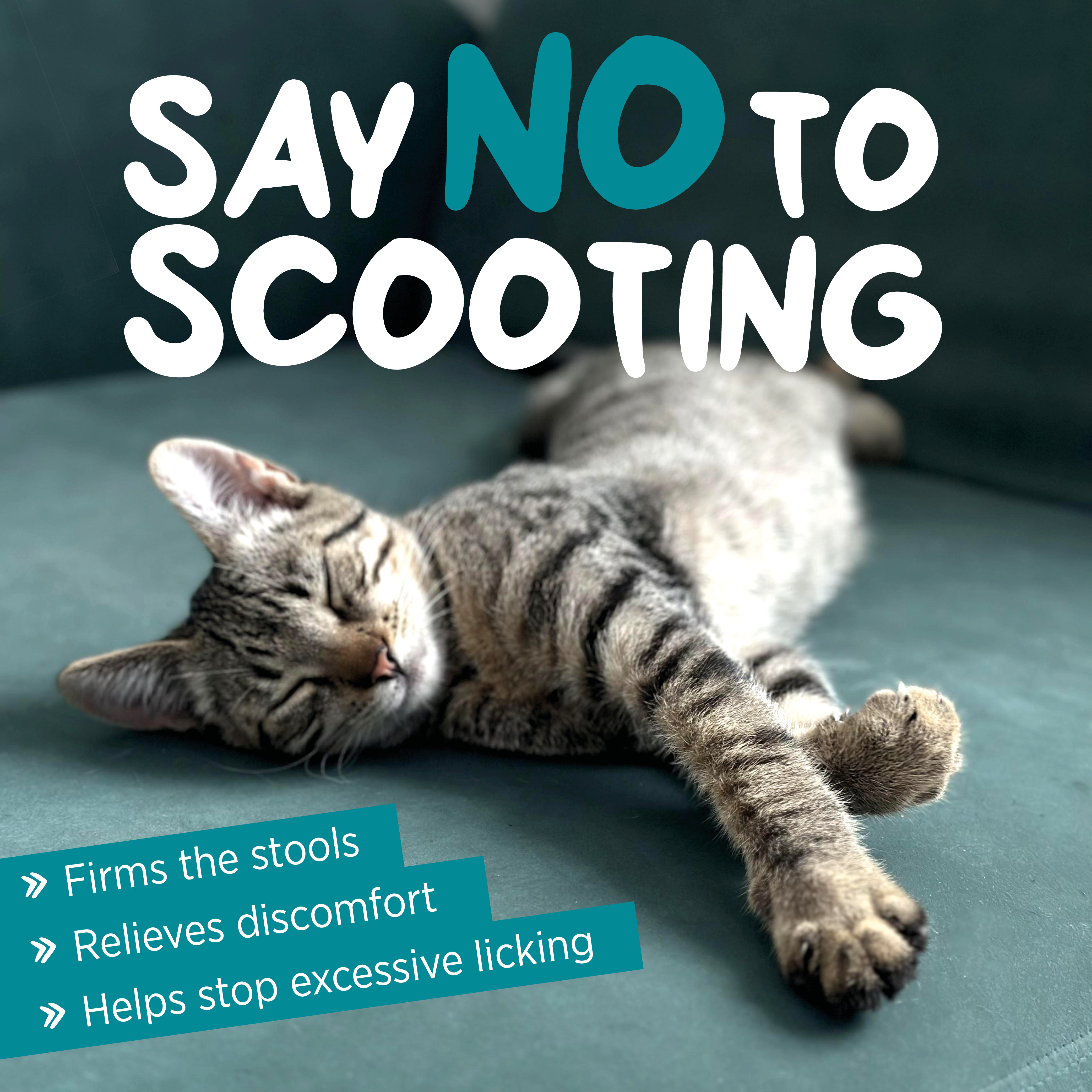 maxxiscoot stop feline scooting