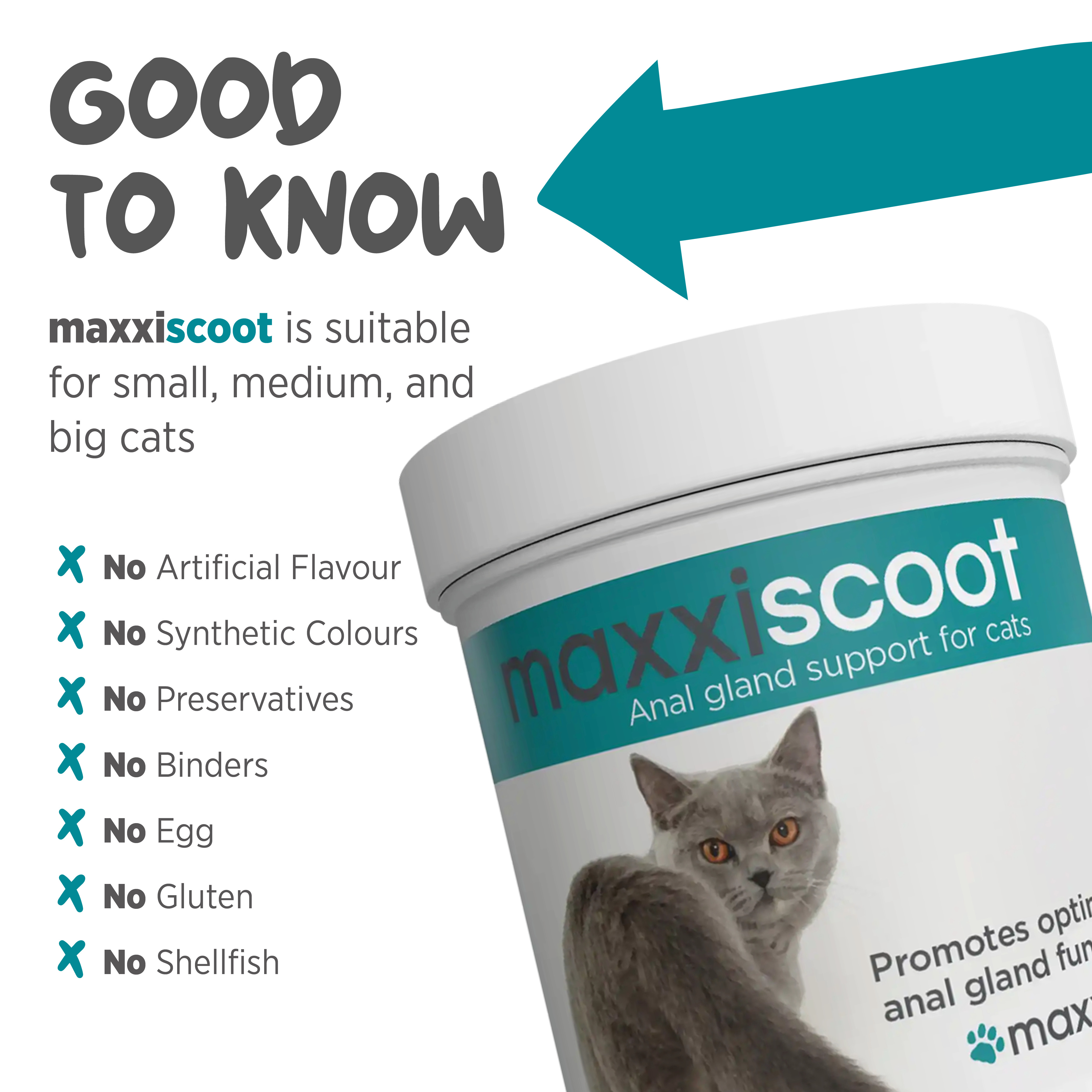 maxxiscoot best anal gland support for cats