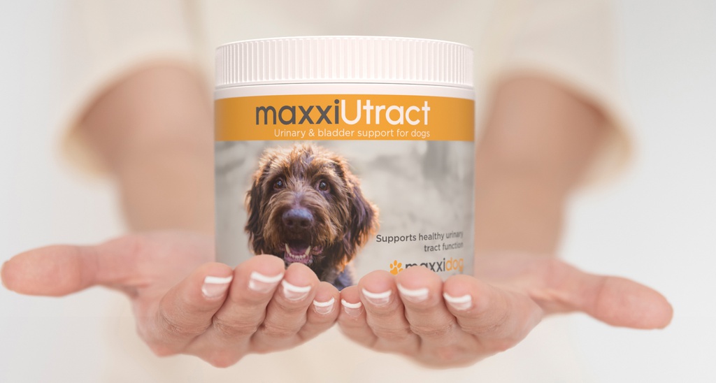 maxxiUtract BANNER
